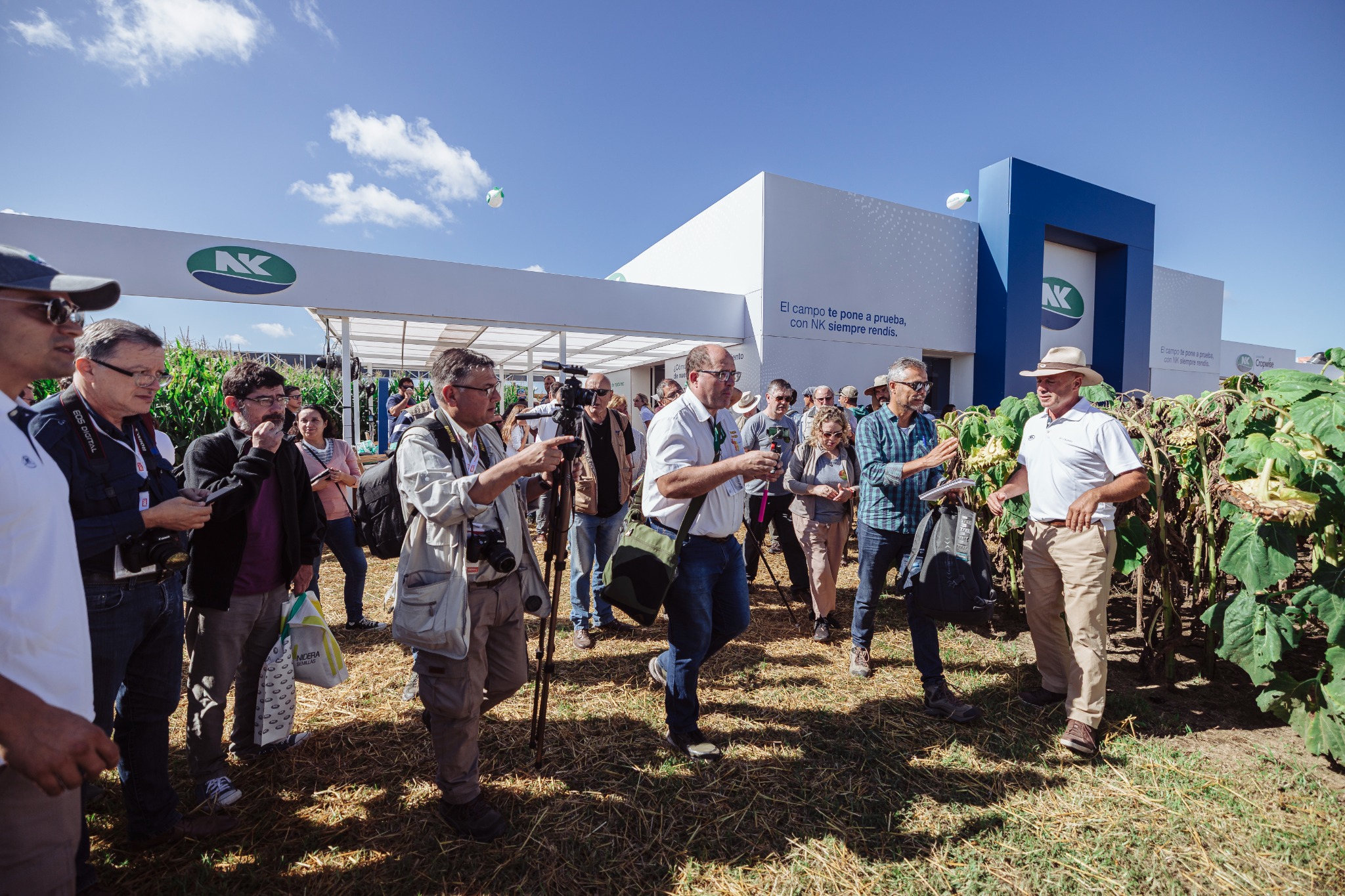 Periodistas recorren el stand de NK junto a un vocero, entre plantas de girasol.